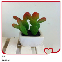 Alibaba China Wholesale Outdoor Cactus Plants With Pot